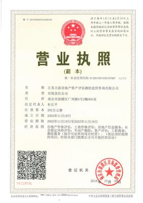 江蘇大新資產 專業評估，賦能資產價值精確認知